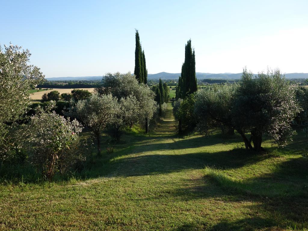 Bed and Breakfast Bella Di Ceciliano Ареццо Екстер'єр фото